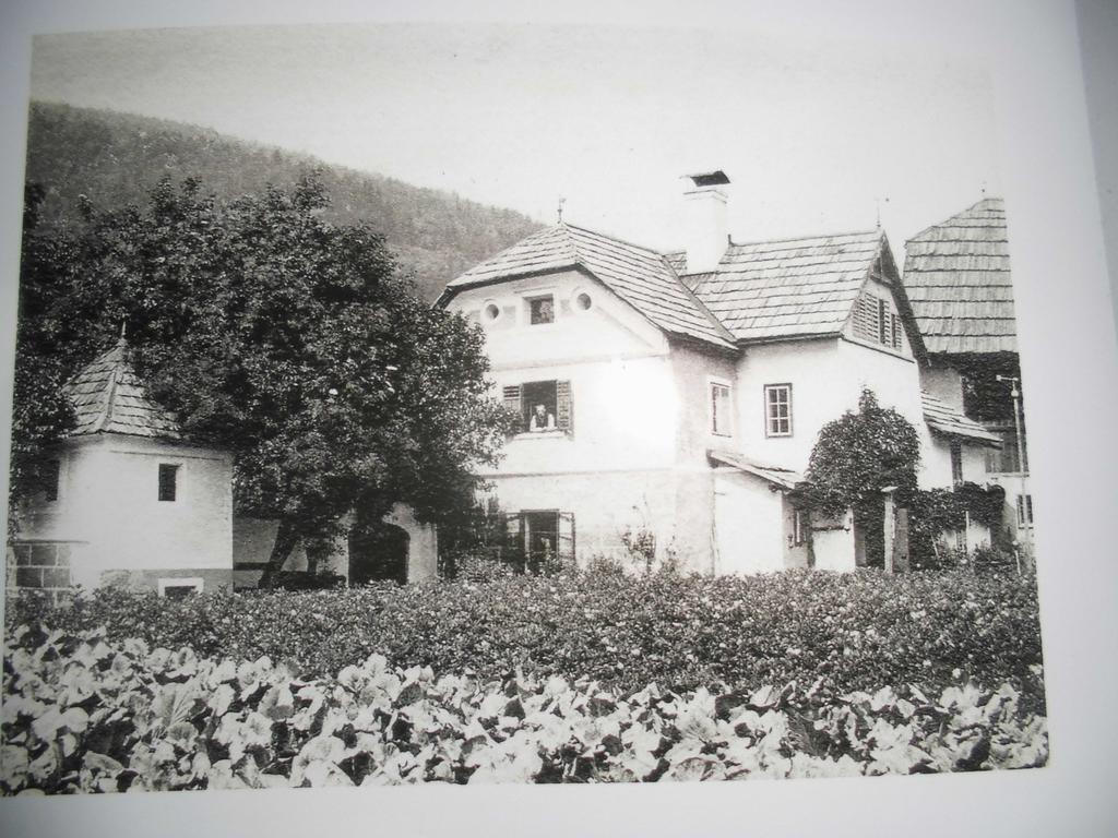 Pension & Ferienwohnung Dullnig Gmünd エクステリア 写真