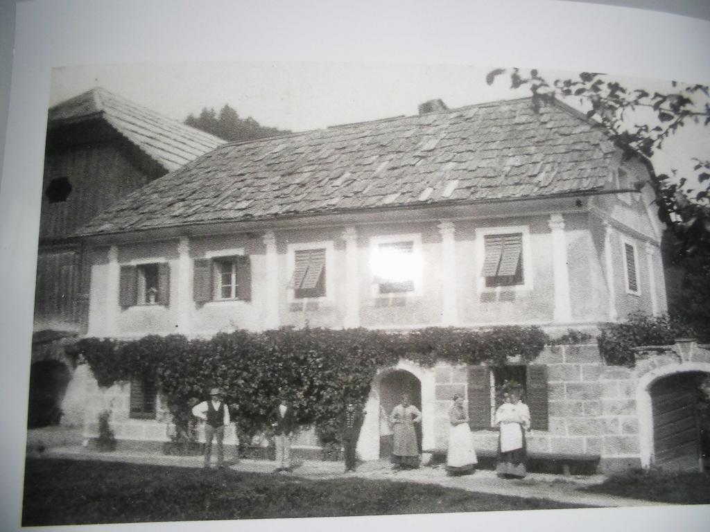 Pension & Ferienwohnung Dullnig Gmünd エクステリア 写真